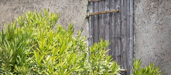 Hytte omgitt av vingårder nær Vauban Blaye Citadel