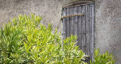 Saint Seurin De Cursac: House / Villa - Saint-Seurin-de-Cursac