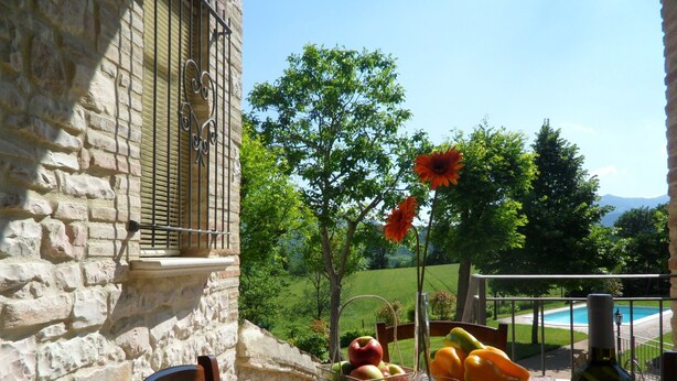 Mesa posta com frutas, uma garrafa e copos, com vista para uma piscina e vegetação.