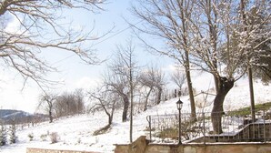Paisagem coberta de neve com árvores desnudas, um muro de pedra e uma cerca de metal.