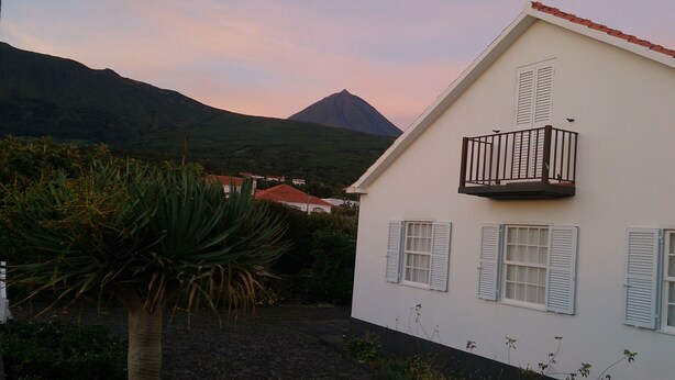 A white building with a balcony, a mountain in the background, and a large plant in the foreground.