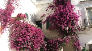 Un edifici amb enfilades de buganvilees roses que adornen les parets exteriors.