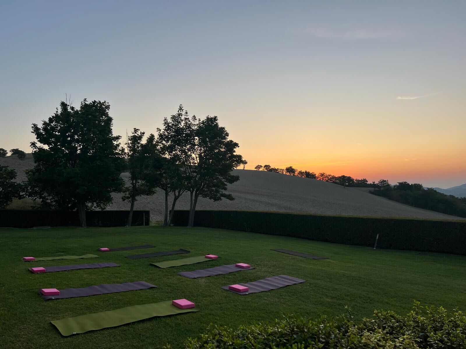 A grassy outdoor area with yoga mats and blocks arranged for exercise.