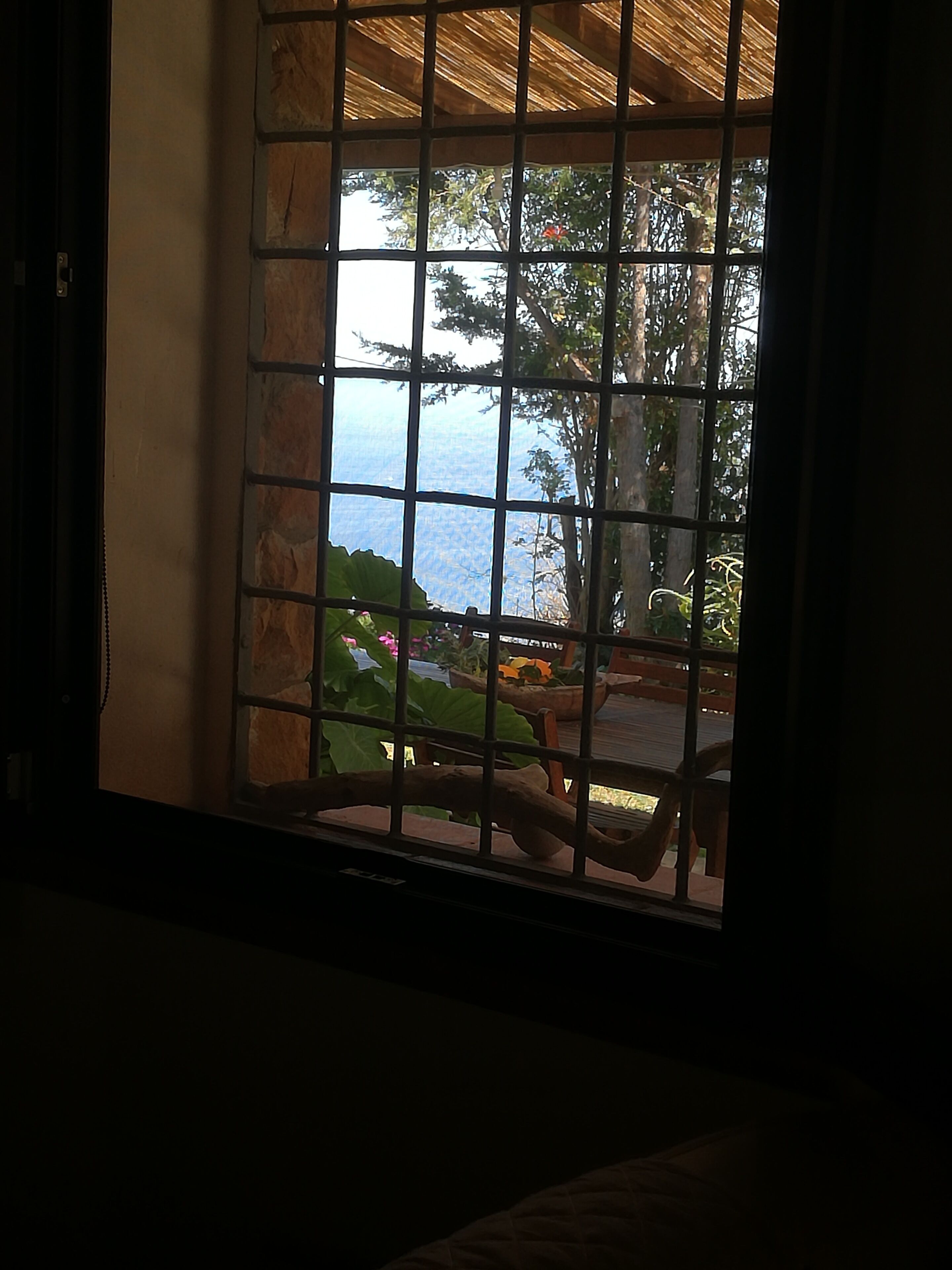 A room with a view through a window with a wooden grid. Outside, there is a wooden deck with chairs and potted plants.