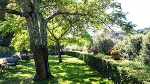 A tree-lined pathway with a hedge, a paved area, and a distant view of buildings.