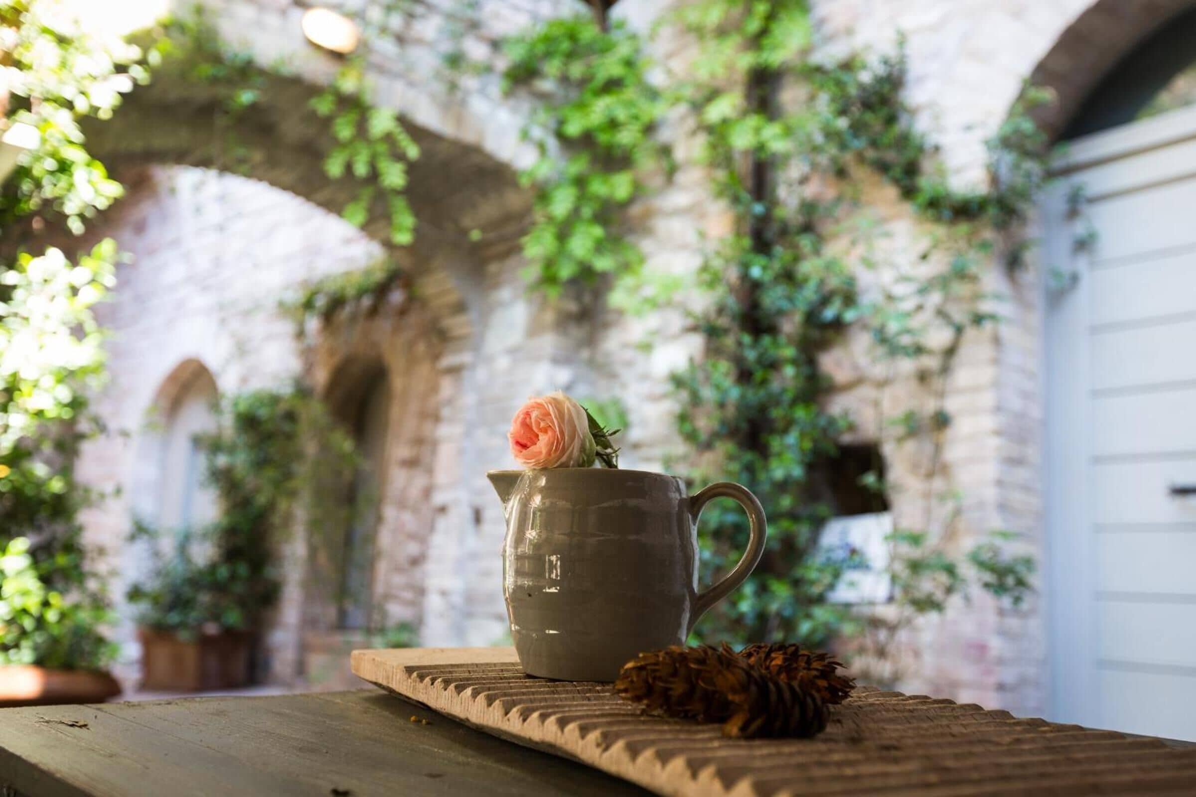 A rustic setting with a wooden table, a ceramic pitcher with a rose, and a pine cone.