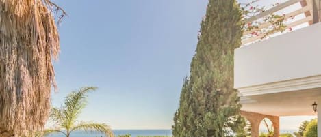 A patio area with a view of the sea, a tall coniferous tree, and a table with chairs.