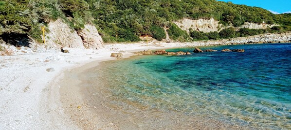 Beach nearby, sun-loungers