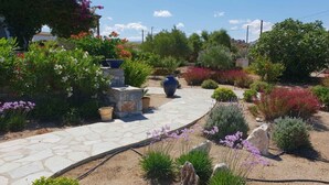 Un jardin avec un chemin de pierres, différentes plantes et un grand pot bleu.
