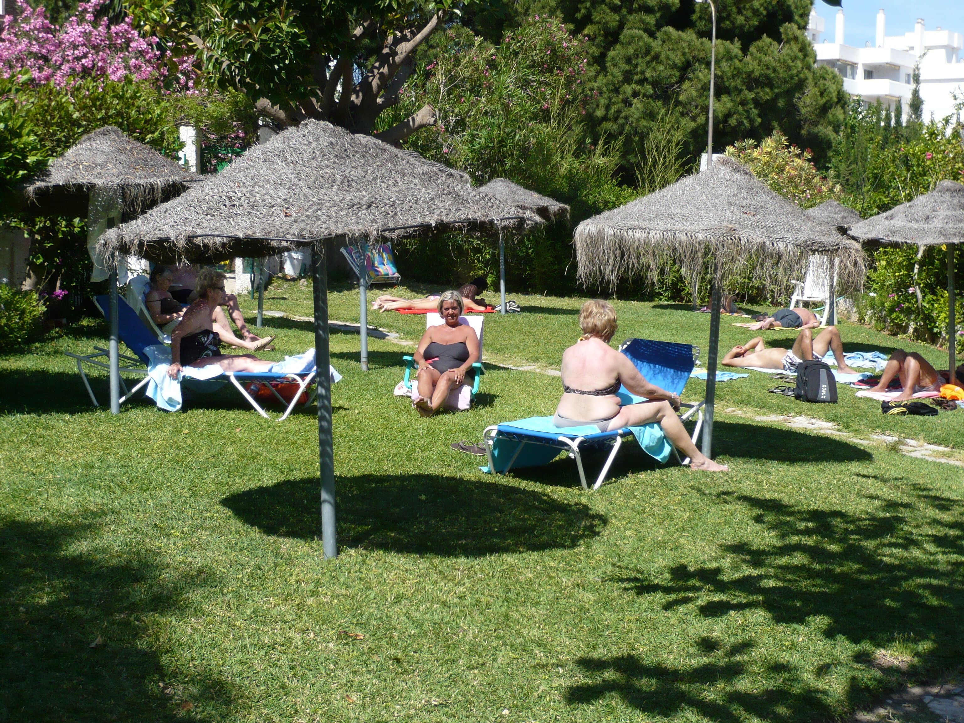 Un espacio al aire libre soleado con sombrillas de paja y sillones de descanso.