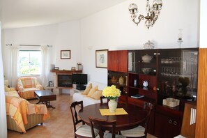 Smart TV, fireplace, books, stereo