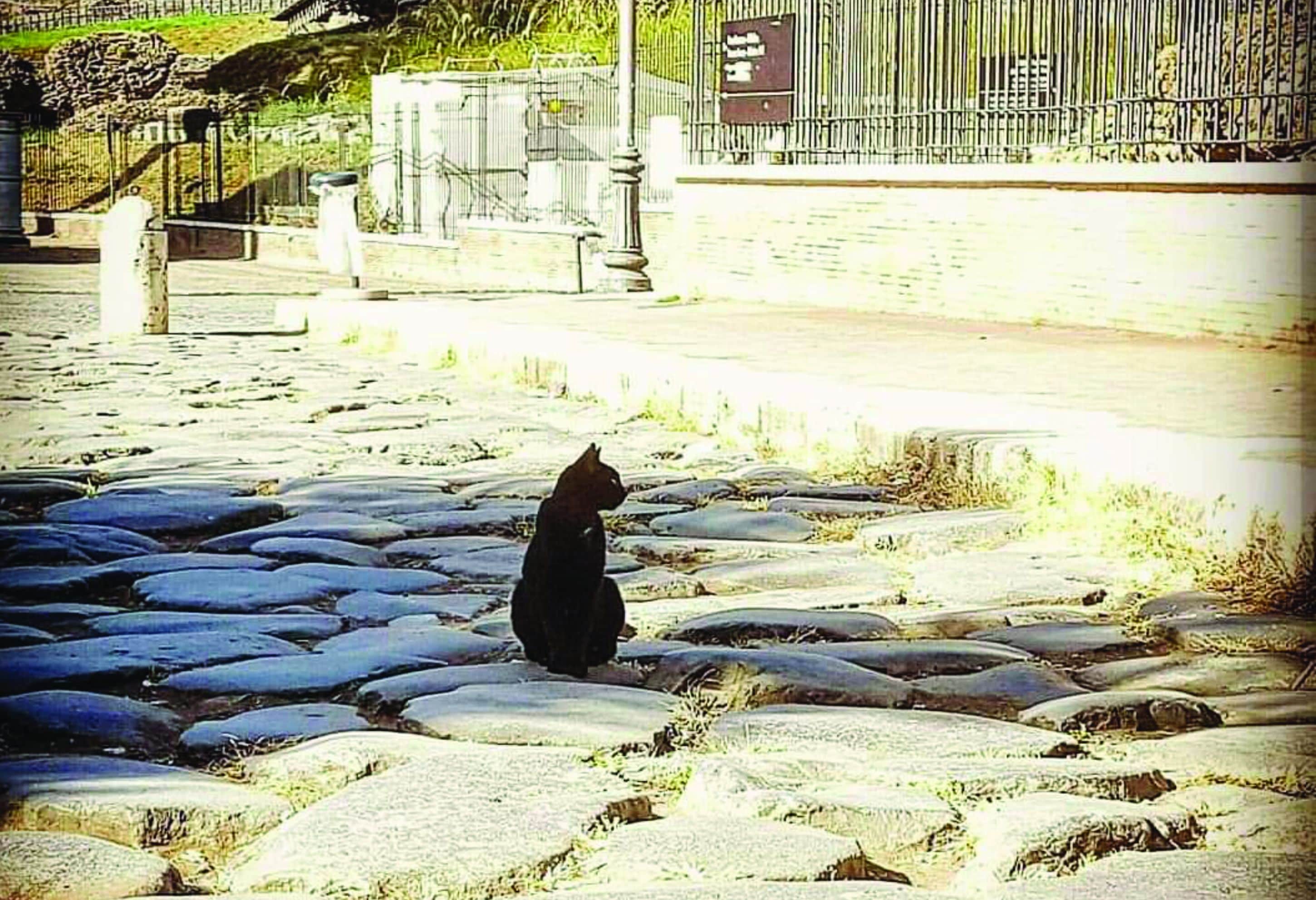 Foto - Monti49 GuestHouse