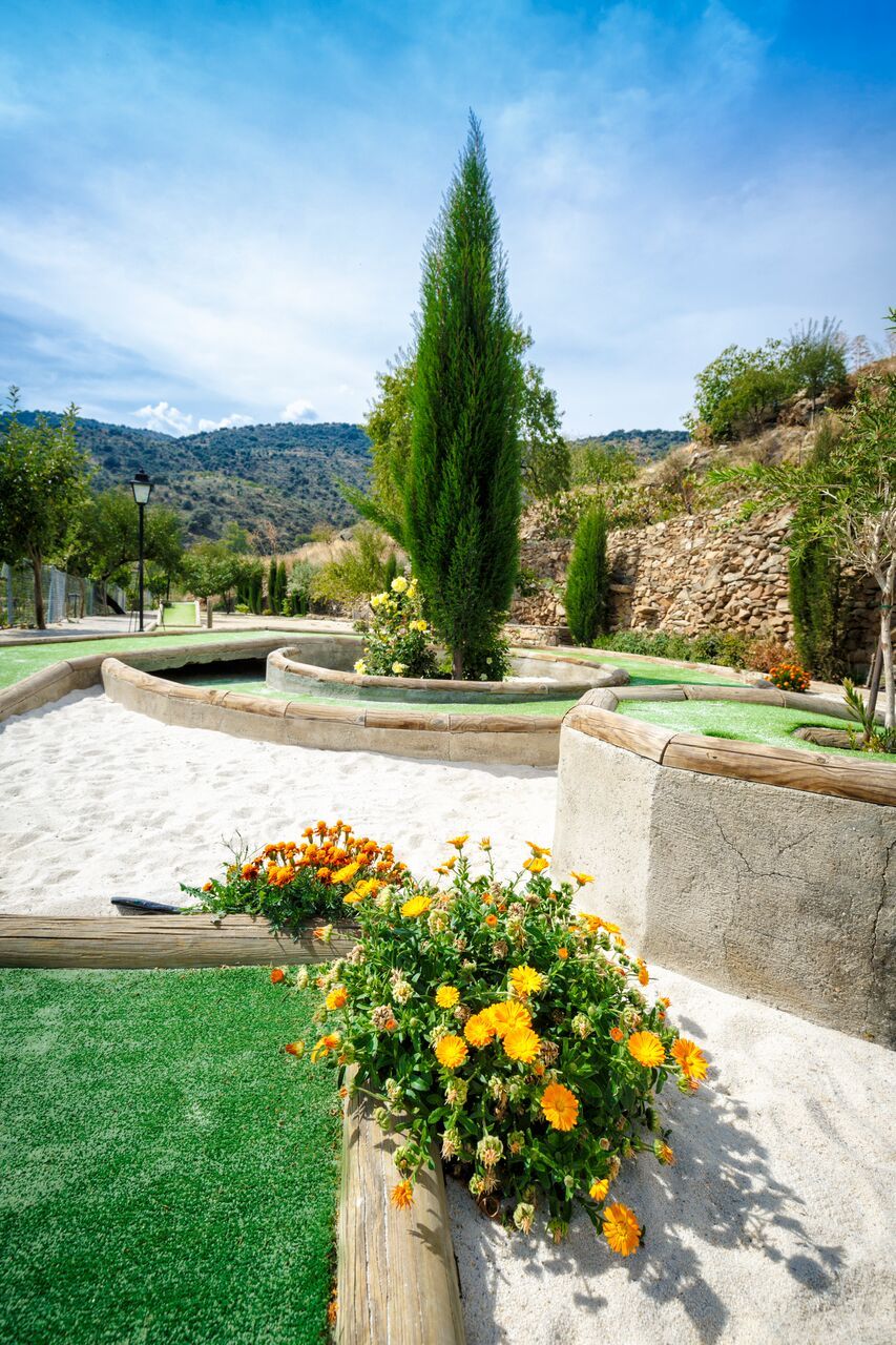 Un jardin aménagé avec une fontaine, un grand conifère et un parterre de fleurs jaunes.