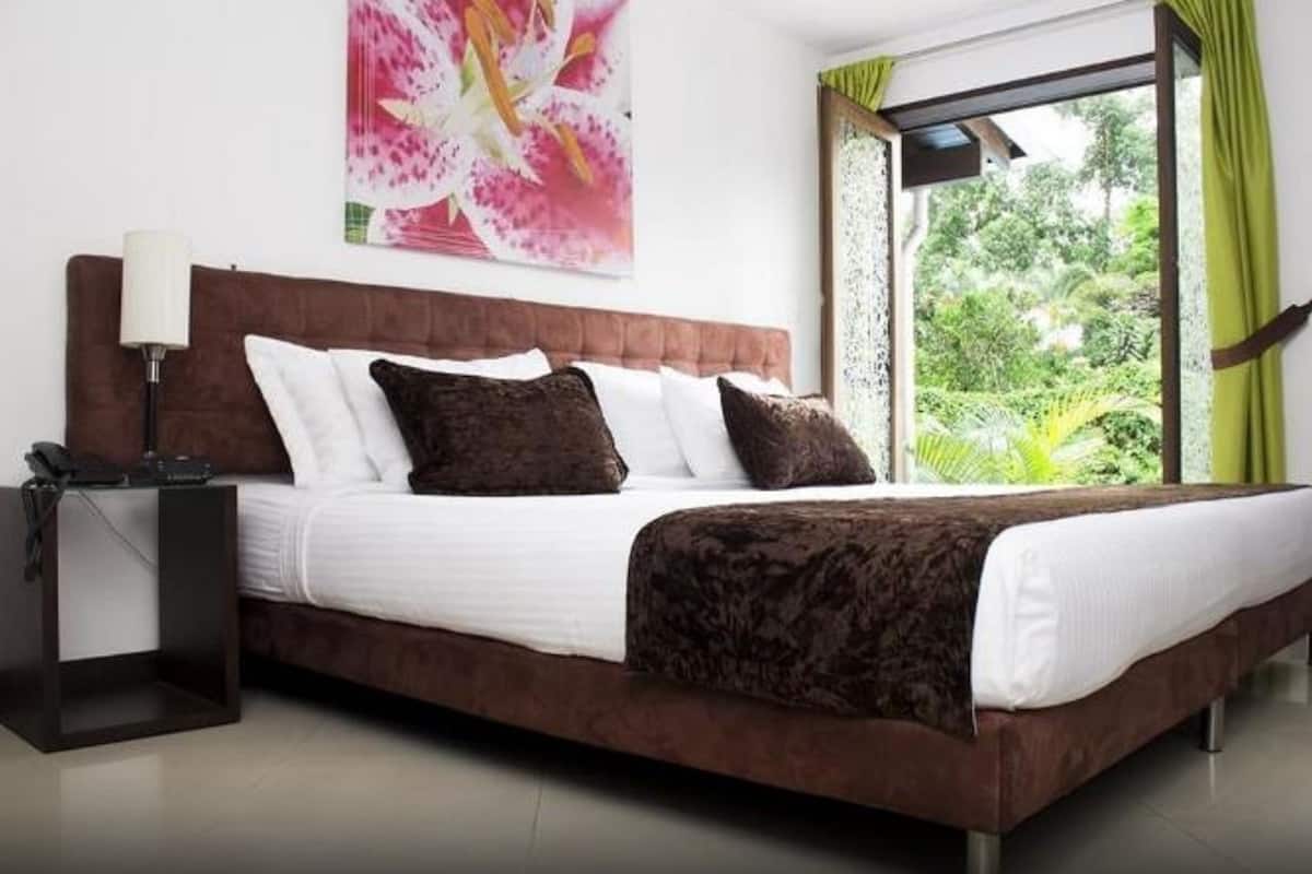 Habitación doble estándar, 1 cama King size, para no fumadores | Minibar, caja de seguridad en la habitación y escritorio