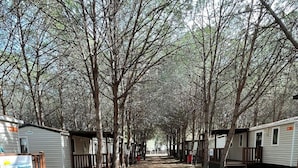 A row of RVs and mobile homes in a wooded area with a dirt ground. - Happy Camp in Camping Iscrixedda (Lotzorai)