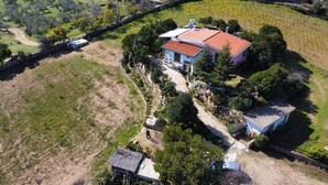 Vista aérea de una propiedad que incluye una casa, un viñedo y un edificio pequeño.