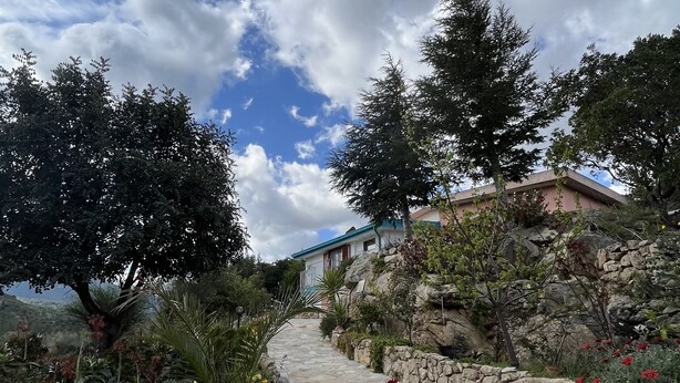Un sendero de piedra que lleva a un edificio con techo azul, rodeado de abundante follaje y flores rojas.