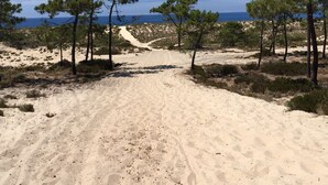 Ein sandiger Pfad führt zu einem Strand mit Kiefern und blauem Himmel.