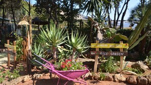 Un espace aménagé en jardin, avec une brouette remplie de fleurs, un panneau en bois indiquant « Roseraie », ainsi que diverses plantes et arbres.