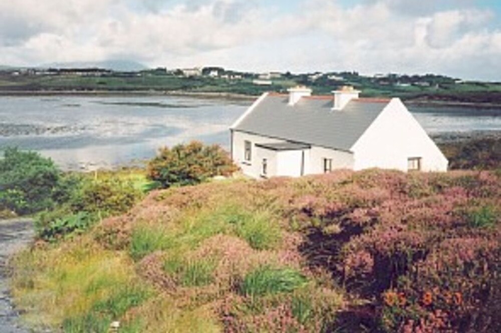 Shore Cottage - an artist's paradise