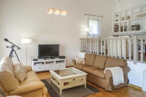 Smart TV, DVD player, books, video library