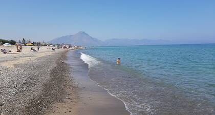 Villa asuinpaikassa muutaman askeleen päässä merestä