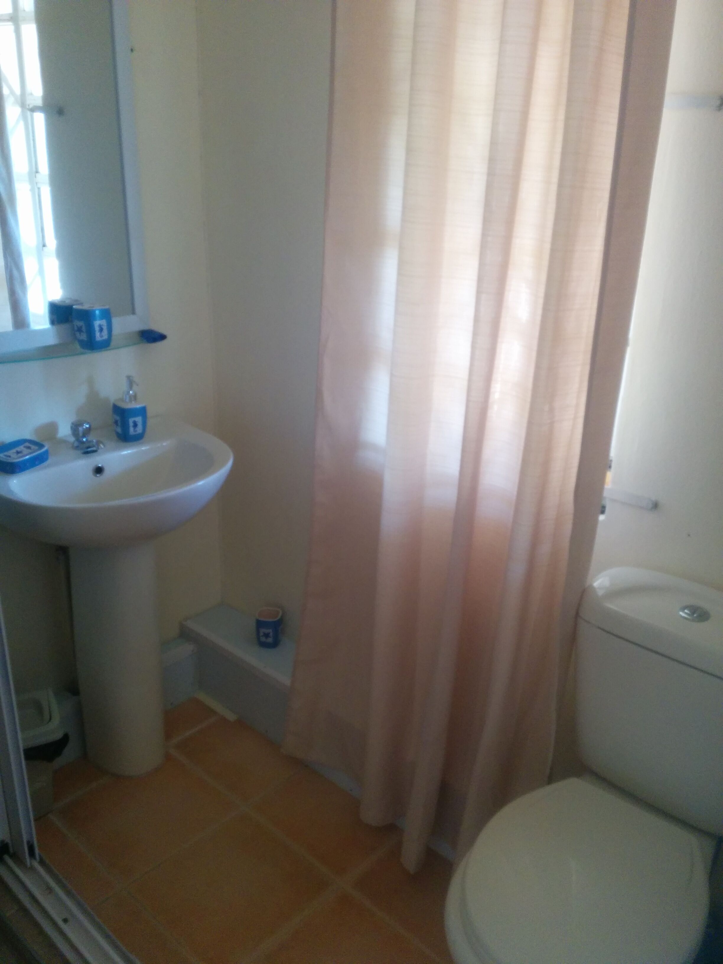 A bathroom with a sink, mirror, and toilet.