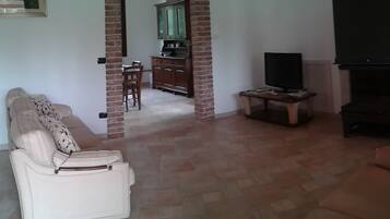 TV connectée, cheminée, lecteur de DVD, livres