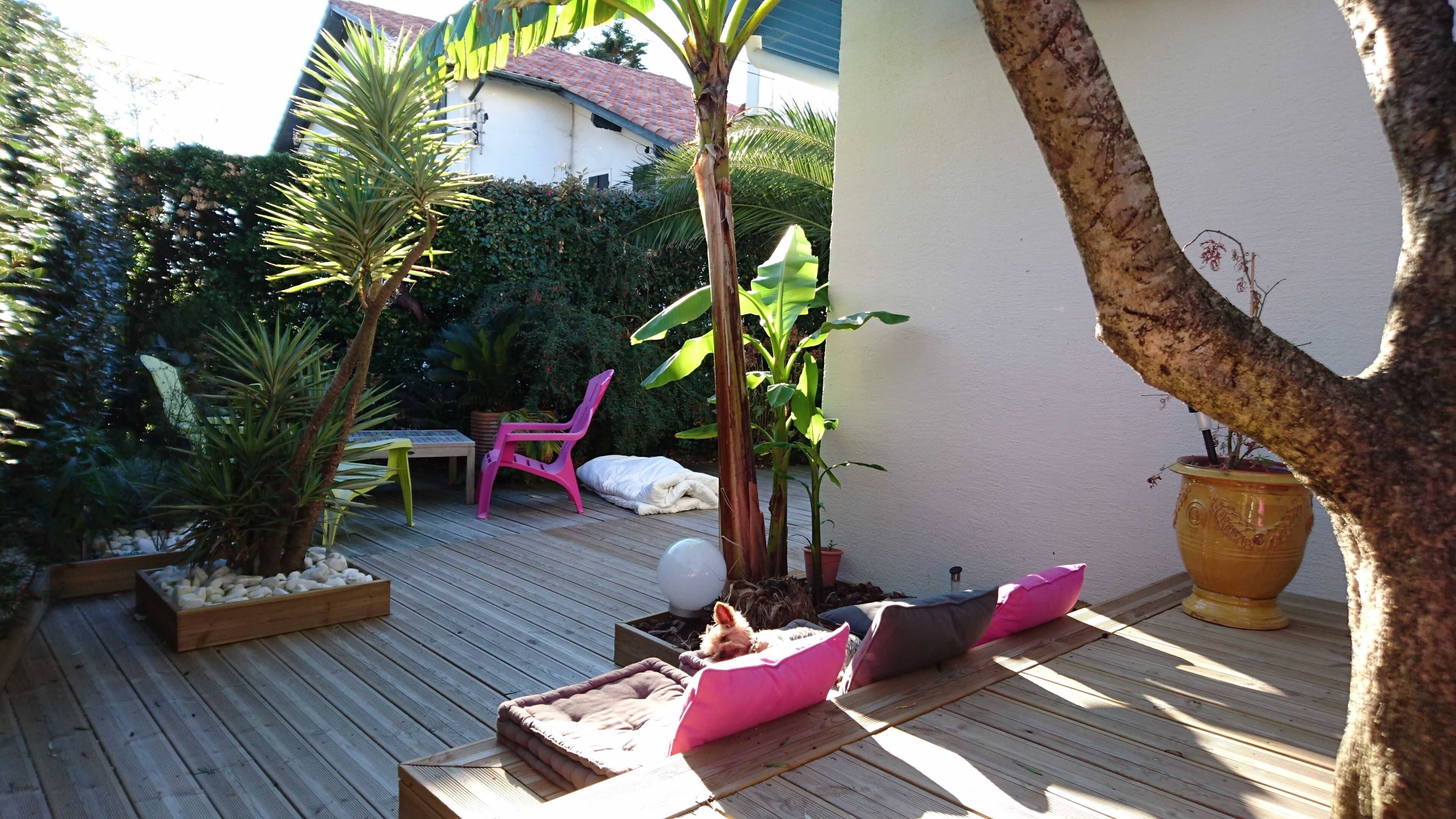 Une terrasse en bois avec un banc, une chaise rose et une plante en pot.