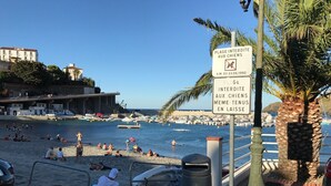 Une scène de plage avec un panneau indiquant qu'il est interdit d'y accéder avec des chiens.