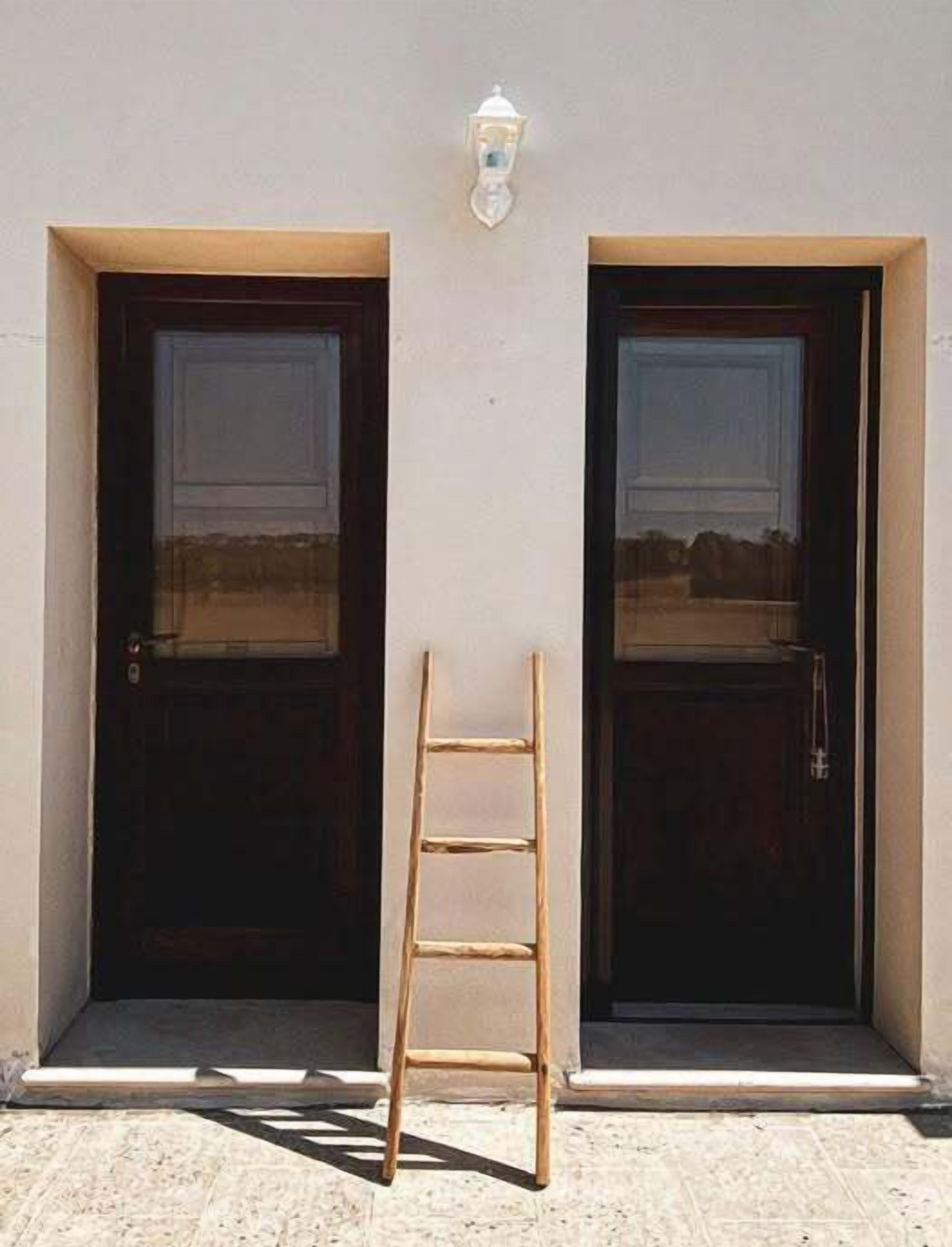 A building facade with two dark wooden doors and a wooden ladder leaning against one door.