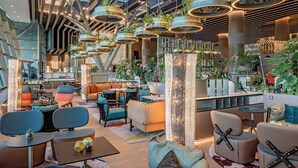 Un intérieur moderne avec de hauts plafonds, des plantes suspendues et différents types de sièges.