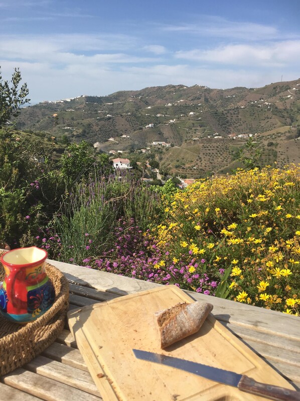 A rustic outdoor setting with a wooden table, a colorful mug, and a loaf of bread.