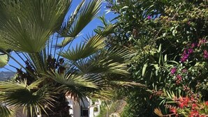 Een zwembad omgeven door weelderig groen en bloeiende planten.