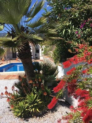 Área da propriedade