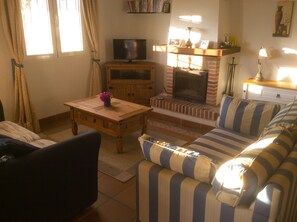 TV, lareira, DVD player, livros