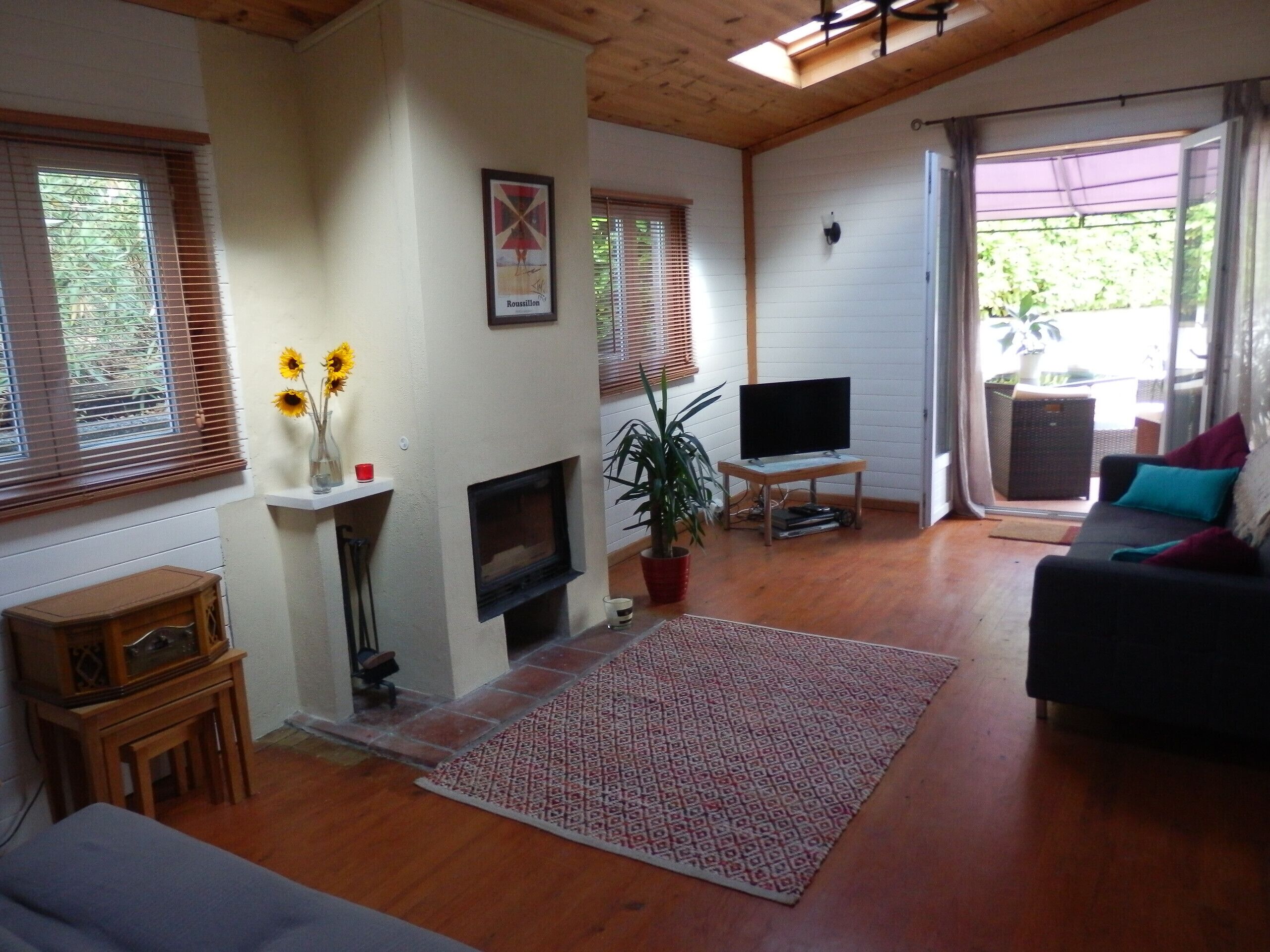 TV, fireplace, DVD player, books