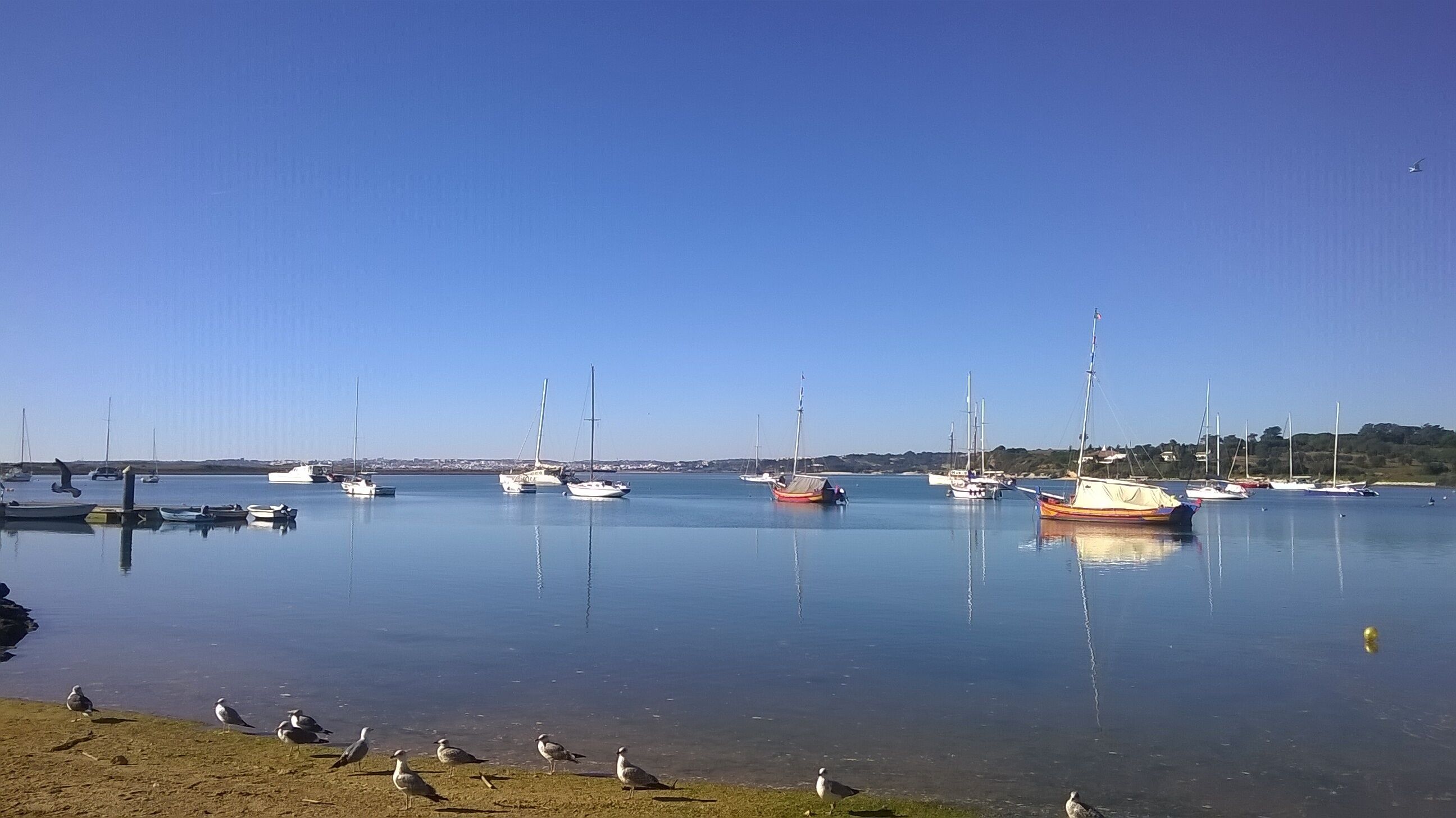 Un port de plaisance où sont amarrés plusieurs voiliers.