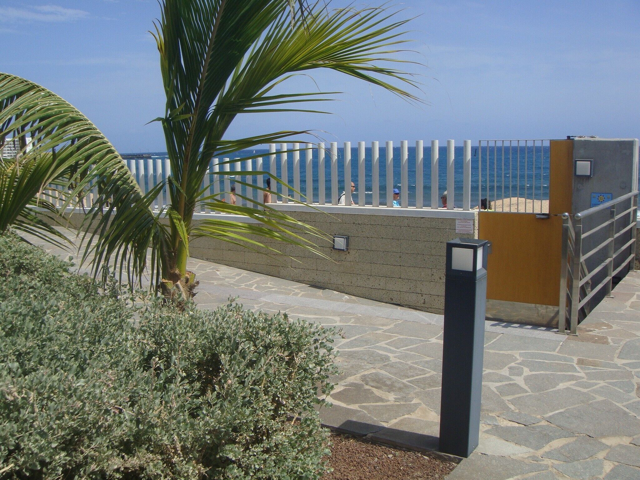A coastal walkway with a palm tree, stone pavement, and a metal railing overlooking the sea.