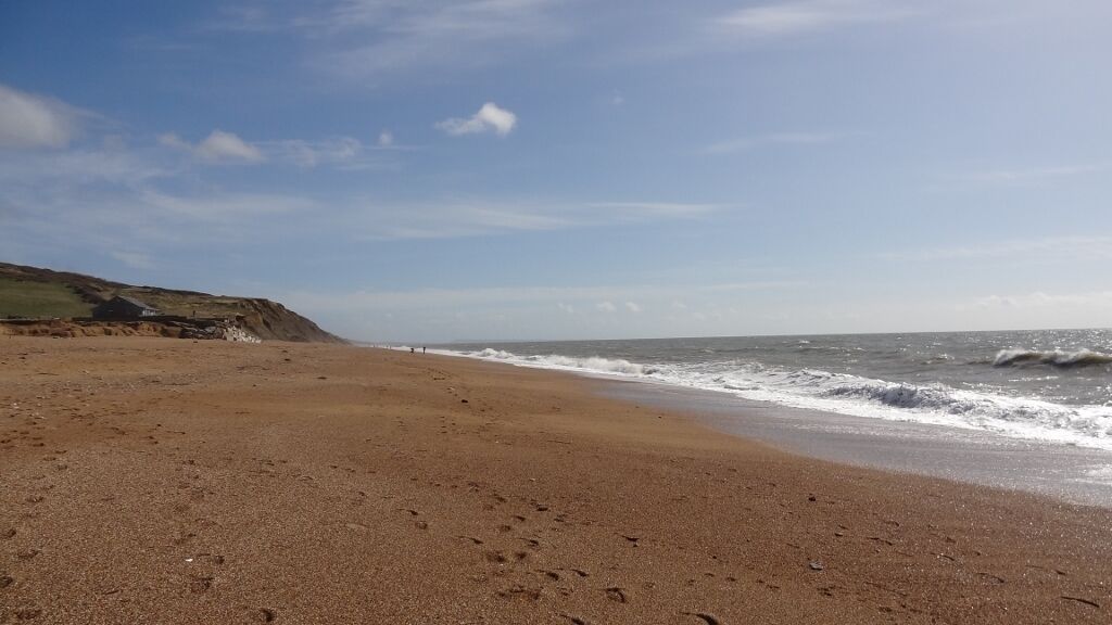 A beach with a sandy shore and waves approaching.