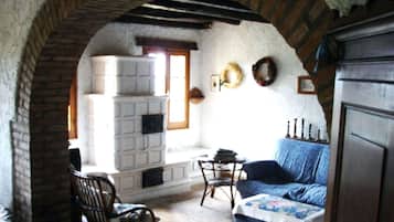 TV, fireplace, DVD player