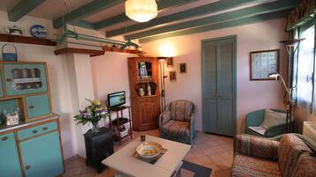 Televisie, een dvd-speler, boeken en een filmbibliotheek