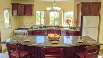 Luxury Villa, 3 Bedrooms, Non Smoking | Private kitchen | Full-sized fridge, oven, electric kettle, blender