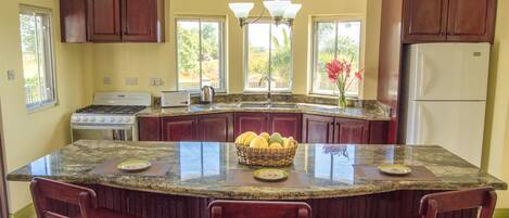 Luxury Villa, 3 Bedrooms, Non Smoking | Private kitchen
