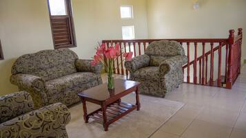 Luxury Villa, 3 Bedrooms, Non Smoking | Living area | 43-inch LCD TV with cable channels, TV, Netflix