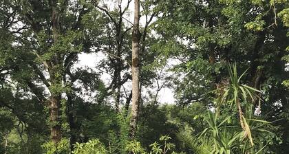 GĂźte confort avec spa, au coeur de la nature, pour 2/3 personnes