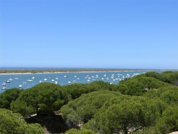 Une vue côtière avec de nombreux bateaux sur l’eau, des arbres verts et touffus au premier plan et un ciel dégagé.