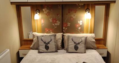ABI St.David 6 Berth Caravan