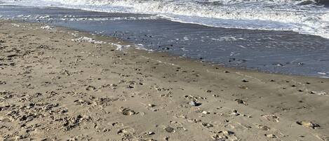 Sun-loungers, beach towels