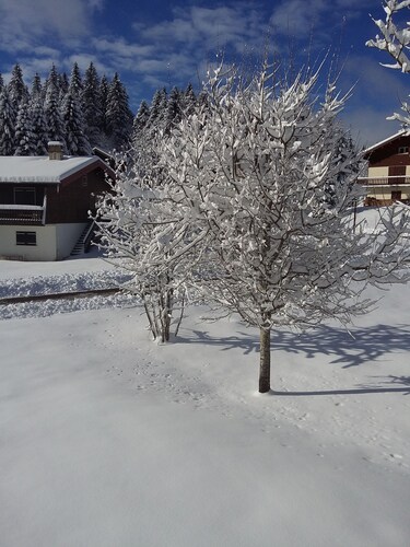 Detached chalet, very well located in a very quiet set of 29 chalets.